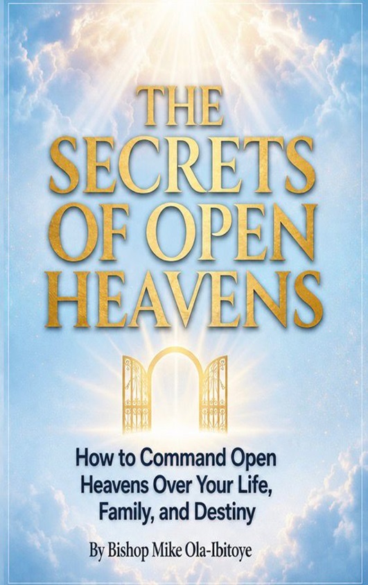 Book cover of The Secrets of Open Heaven